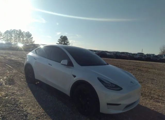 TESLA MODEL Y 2021 5yjygdee9mf113267