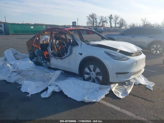 TESLA MODEL Y 2021 5yjygdee9mf117903