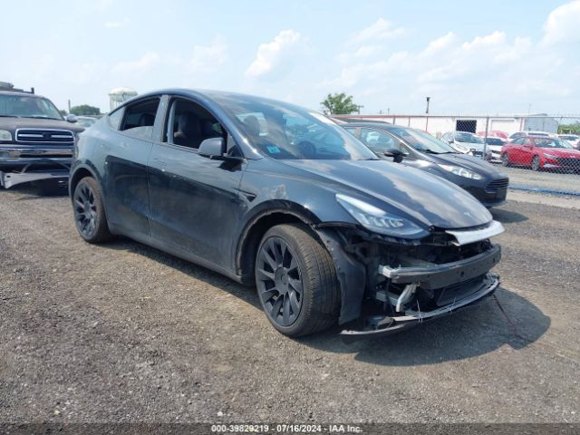 TESLA MODEL Y 2021 5yjygdee9mf199051