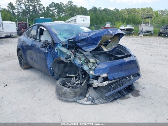 TESLA MODEL Y 2021 5yjygdee9mf224501