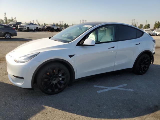 TESLA MODEL Y 2021 5yjygdee9mf231125