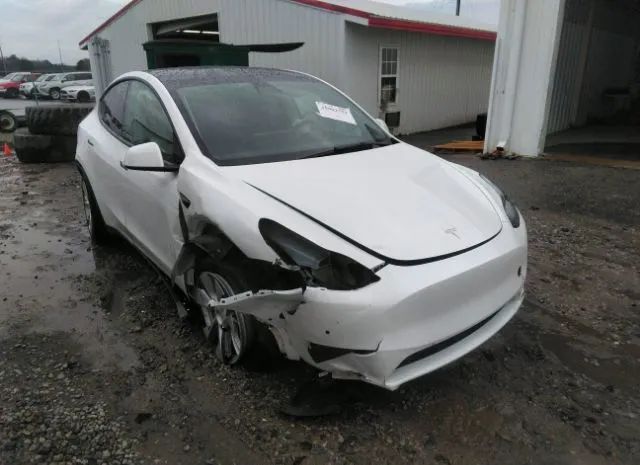 TESLA MODEL Y 2021 5yjygdee9mf232615