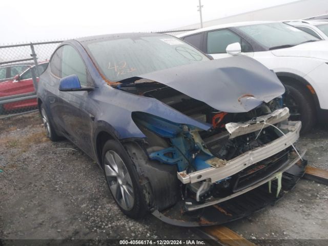 TESLA MODEL Y 2021 5yjygdee9mf279045