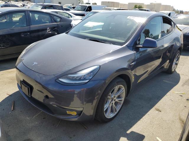 TESLA MODEL Y 2021 5yjygdee9mf295570