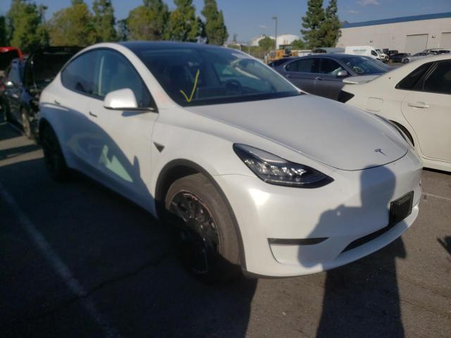 TESLA MODEL Y 2020 5yjygdeexlf014360