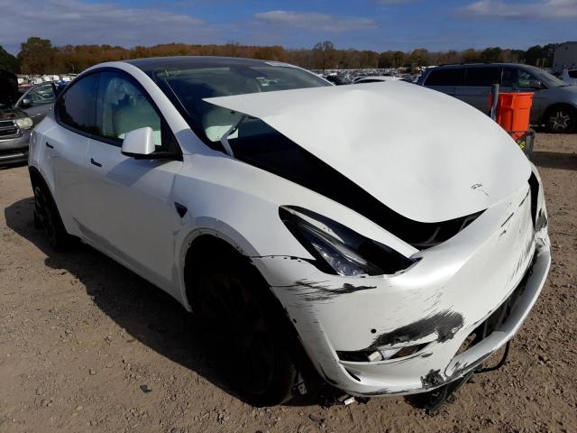 TESLA MODEL Y 2020 5yjygdeexlf024371