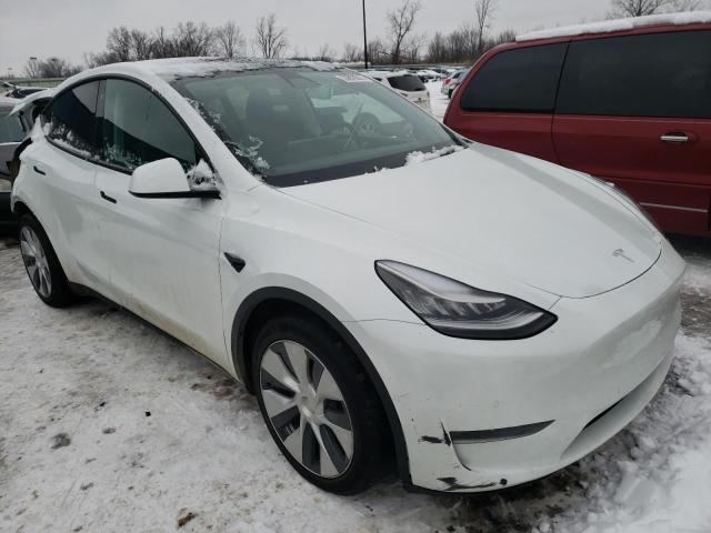 TESLA MODEL Y 2020 5yjygdeexlf038268