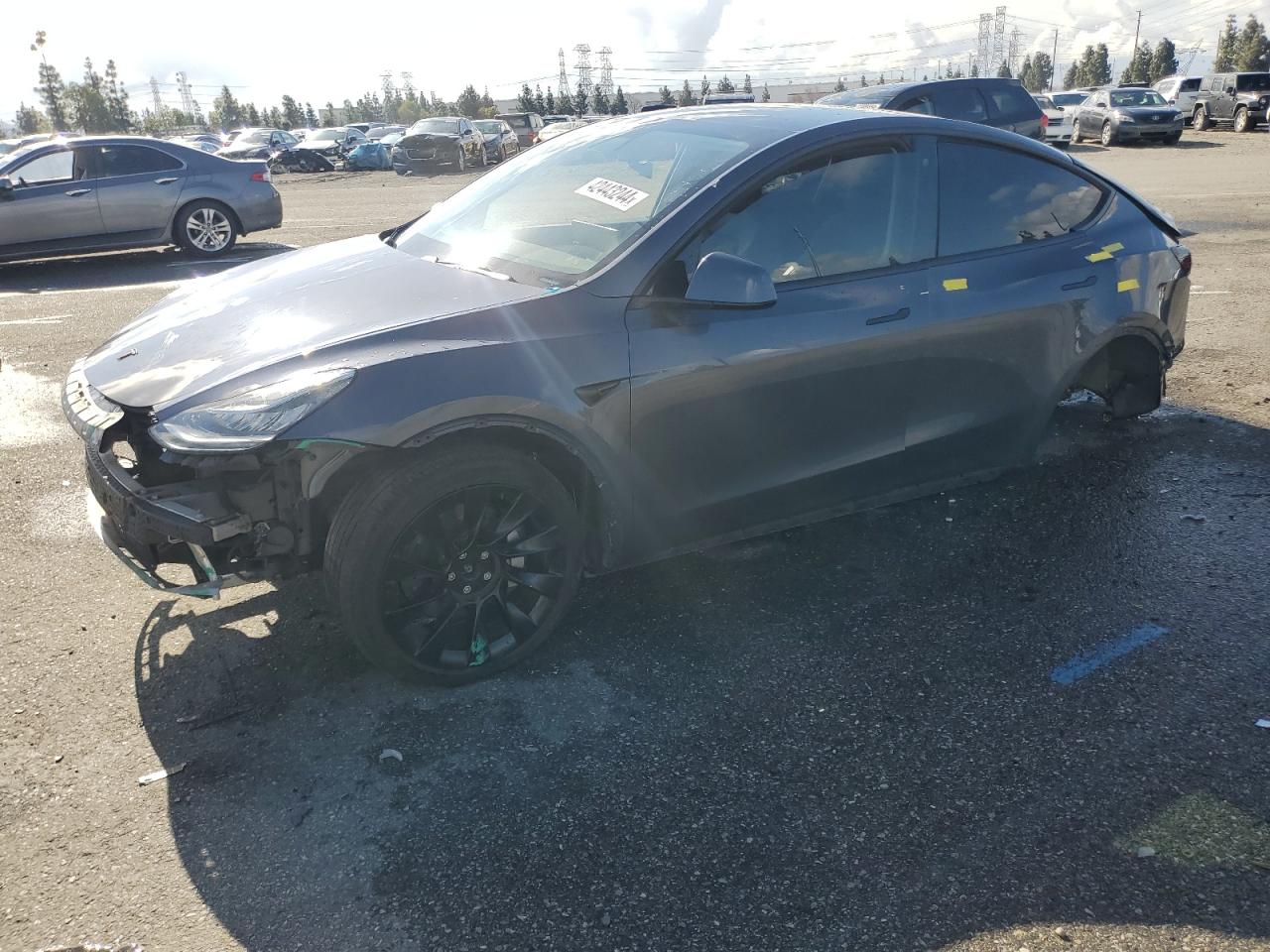 TESLA MODEL Y 2020 5yjygdeexlf041929