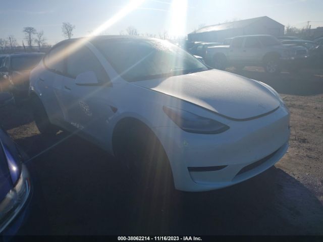 TESLA MODEL Y 2020 5yjygdeexlf050453