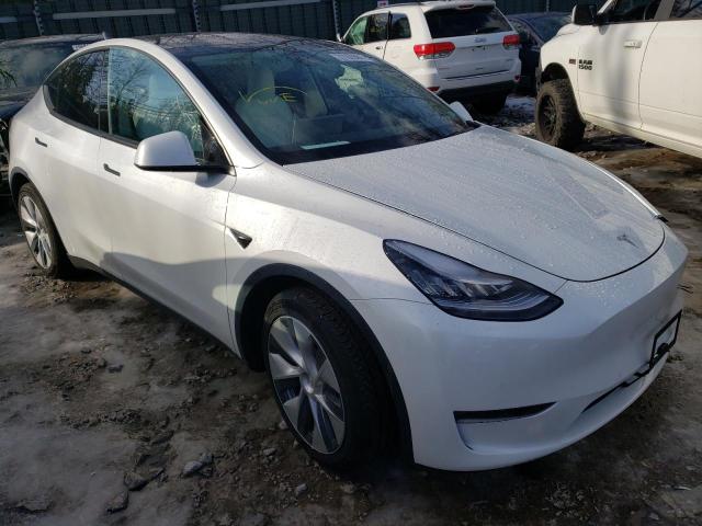 TESLA MODEL Y 2021 5yjygdeexmf064483