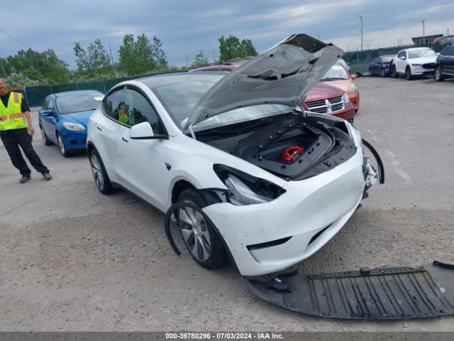 TESLA MODEL Y 2021 5yjygdeexmf073247