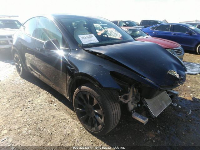 TESLA MODEL Y 2021 5yjygdeexmf083339