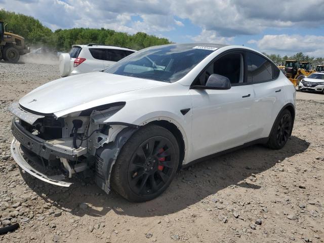 TESLA MODEL Y 2020 5yjygdeexmf084250