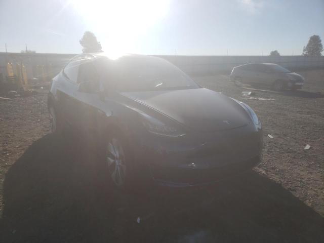 TESLA MODEL Y 2021 5yjygdeexmf089500