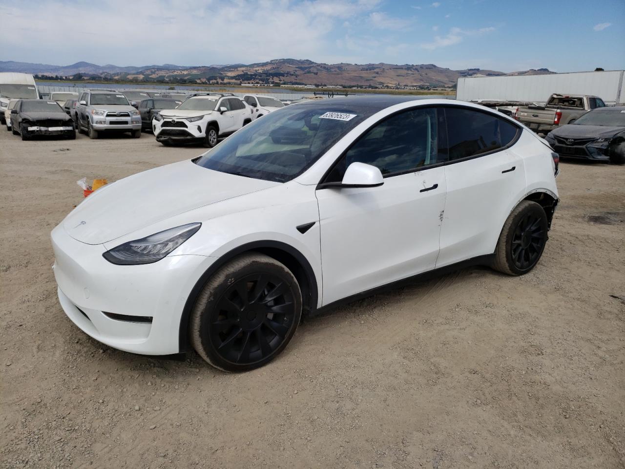 TESLA MODEL Y 2021 5yjygdeexmf090730