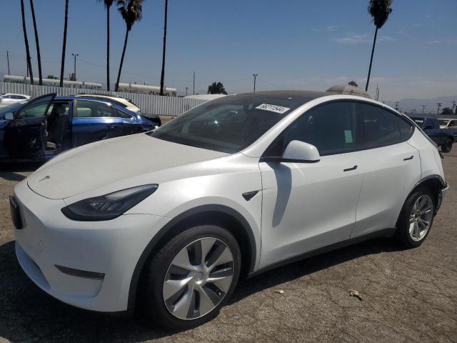 TESLA MODEL Y 2021 5yjygdeexmf092137