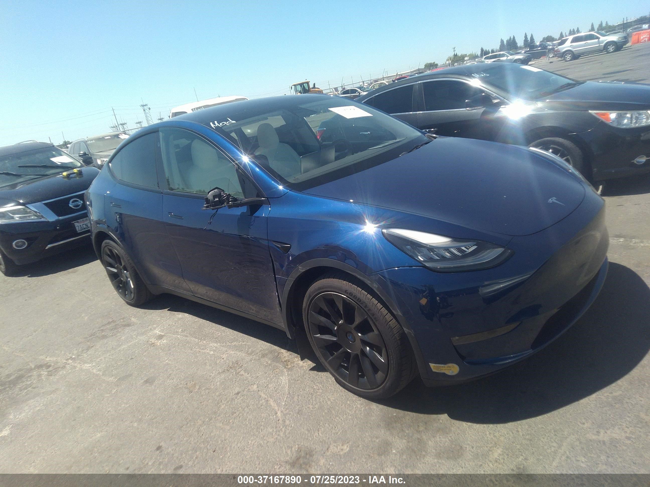 TESLA MODEL Y 2021 5yjygdeexmf095863