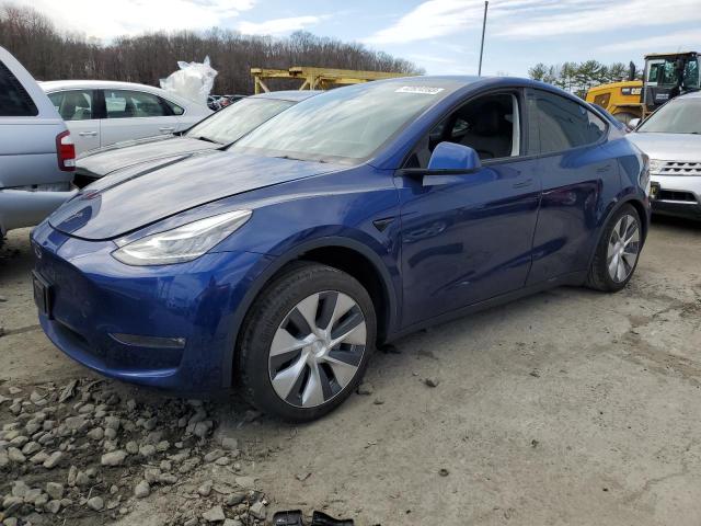 TESLA MODEL Y 2021 5yjygdeexmf096785