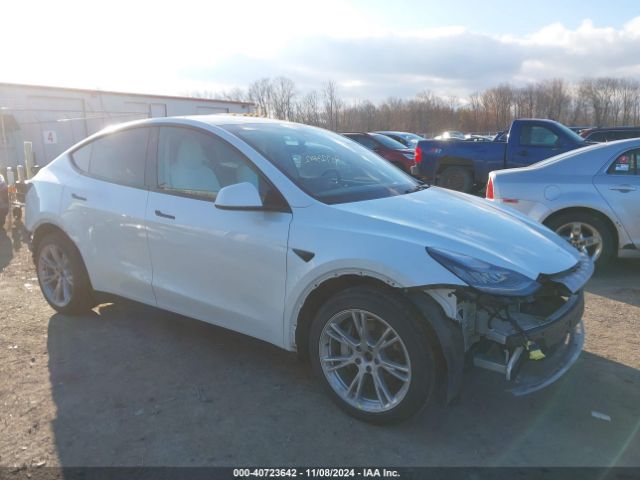 TESLA MODEL Y 2021 5yjygdeexmf098665