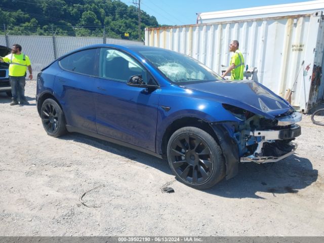 TESLA MODEL Y 2021 5yjygdeexmf123855