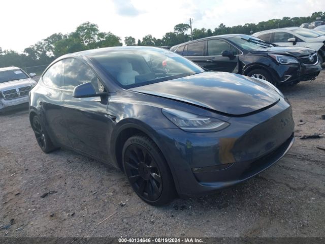 TESLA MODEL Y 2021 5yjygdeexmf124035