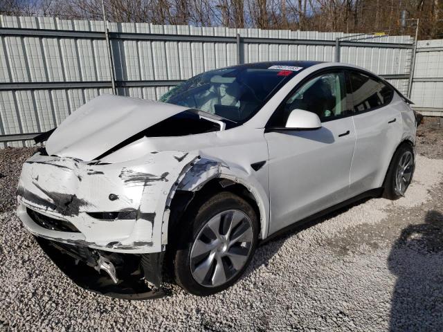 TESLA MODEL Y 2021 5yjygdeexmf131065