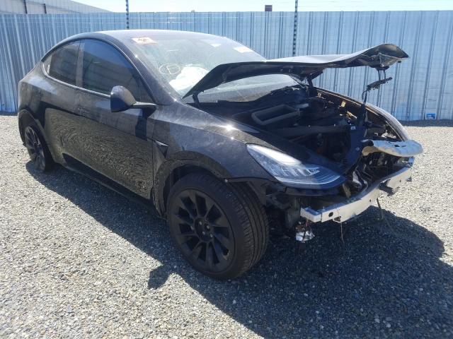 TESLA MODEL Y 2021 5yjygdeexmf137822