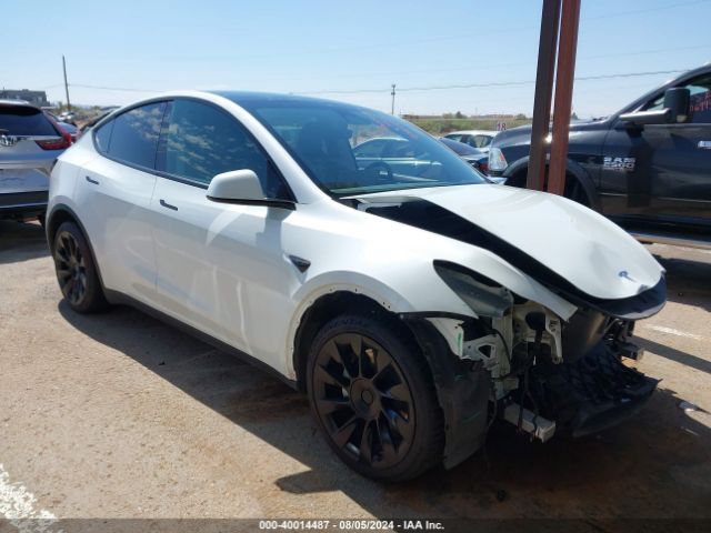 TESLA MODEL Y 2021 5yjygdeexmf186406