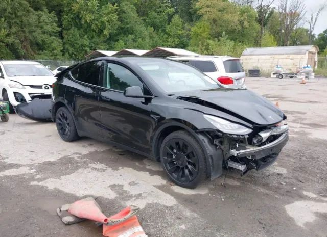 TESLA MODEL Y 2021 5yjygdeexmf190813