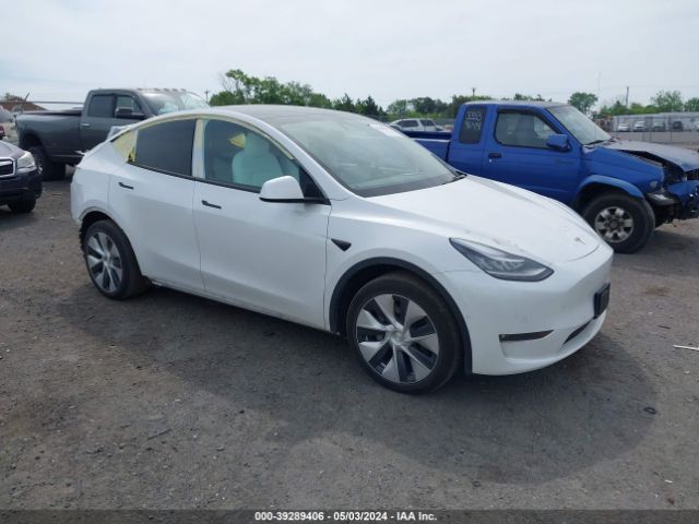 TESLA MODEL Y 2021 5yjygdeexmf195915