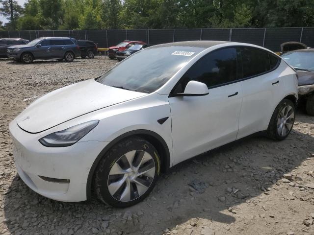 TESLA MODEL Y 2021 5yjygdeexmf200224