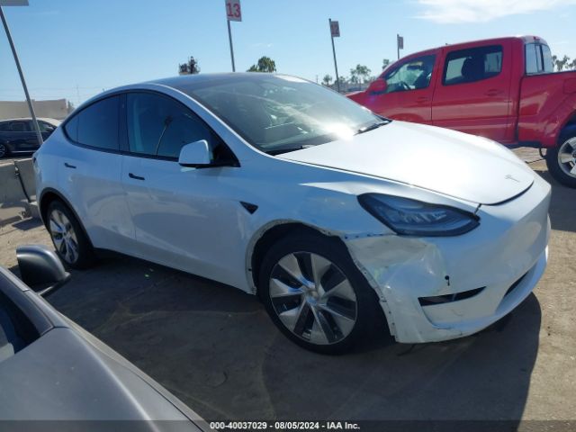 TESLA MODEL Y 2021 5yjygdeexmf204161