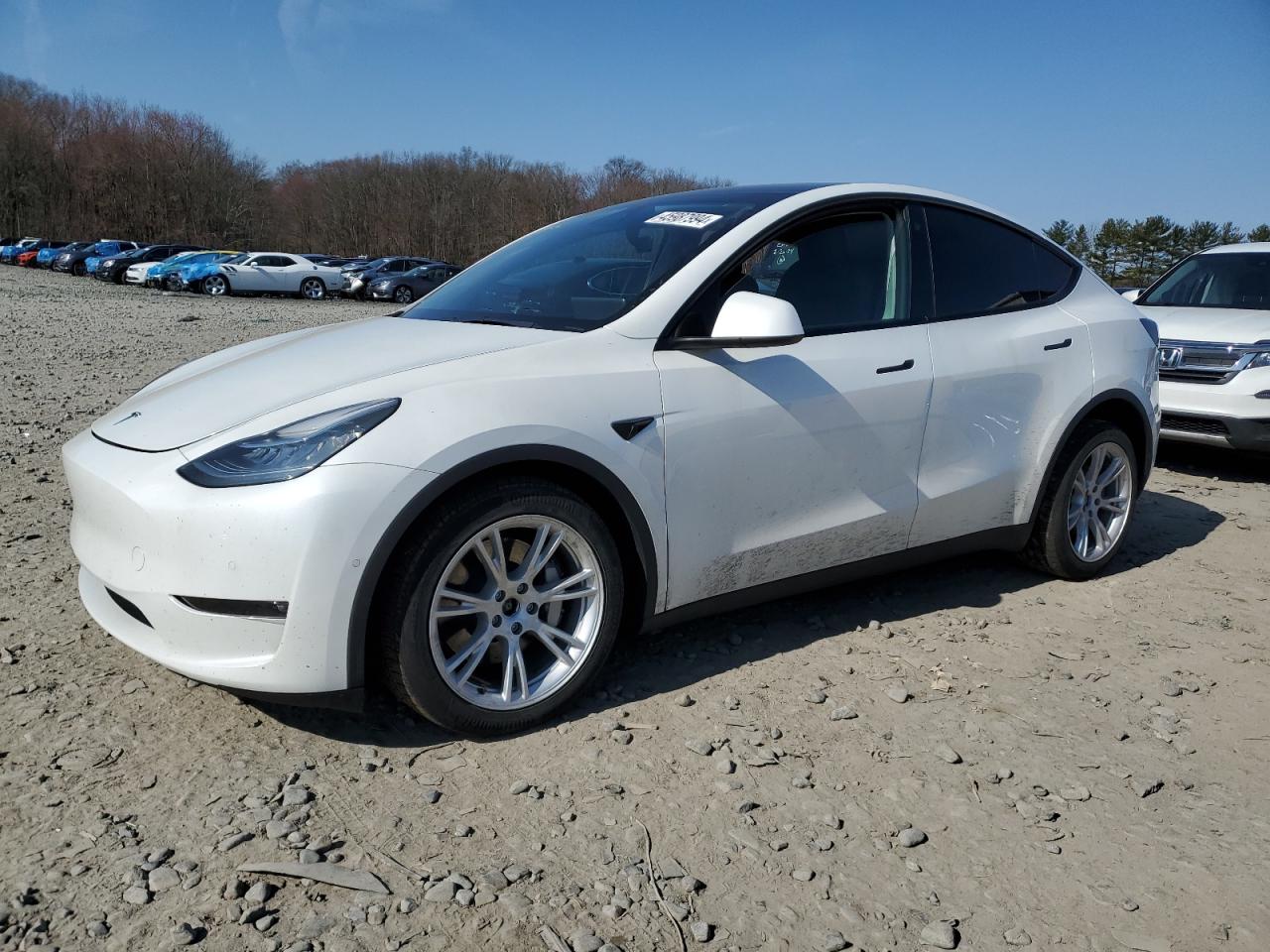 TESLA MODEL Y 2021 5yjygdeexmf204838