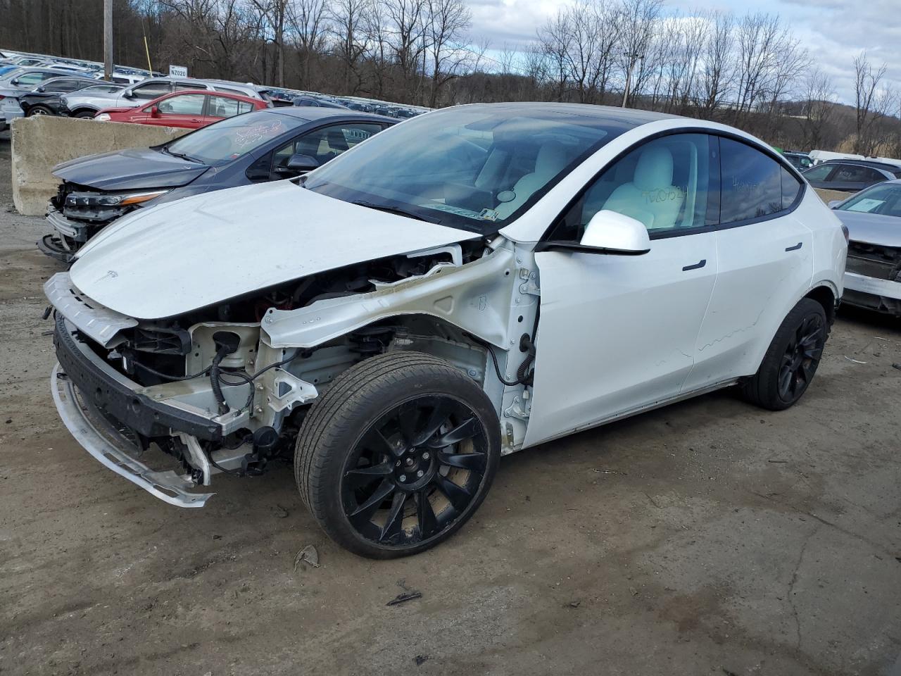 TESLA MODEL Y 2021 5yjygdeexmf225107