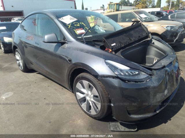 TESLA MODEL Y 2021 5yjygdeexmf231571