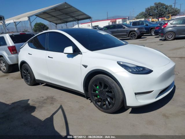 TESLA MODEL Y 2021 5yjygdeexmf233059