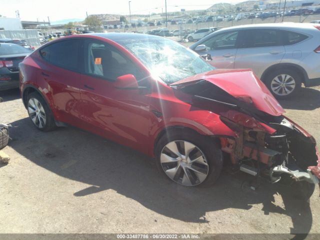 TESLA MODEL Y 2021 5yjygdeexmf233840