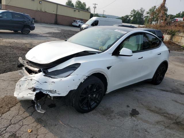 TESLA MODEL Y 2021 5yjygdeexmf268765