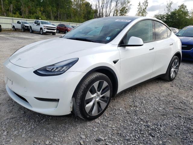 TESLA MODEL Y 2021 5yjygdeexmf271679