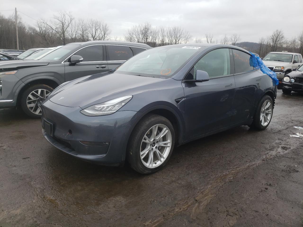 TESLA MODEL Y 2021 5yjygdeexmf288286