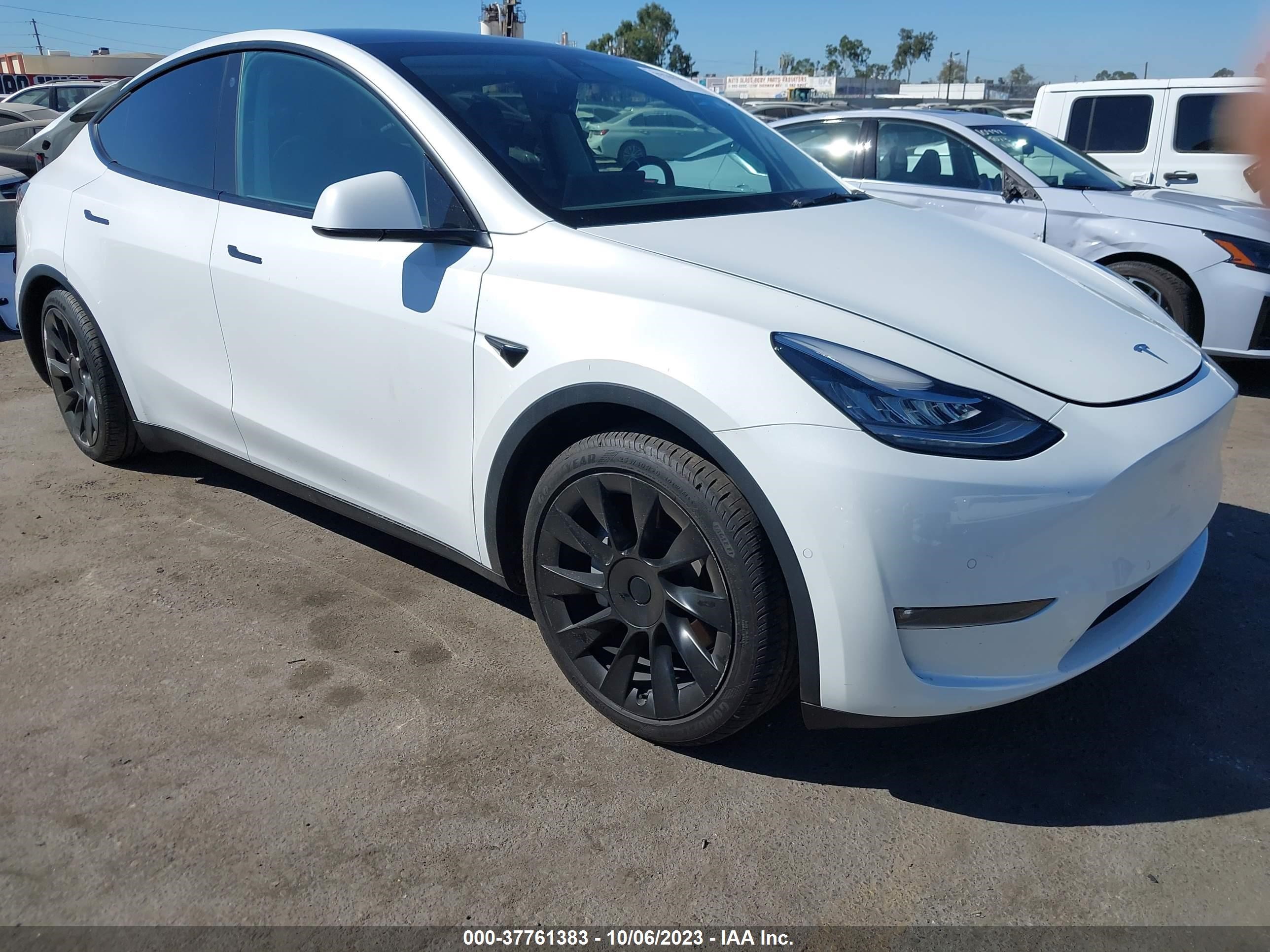 TESLA MODEL Y 2021 5yjygdeexmf294797