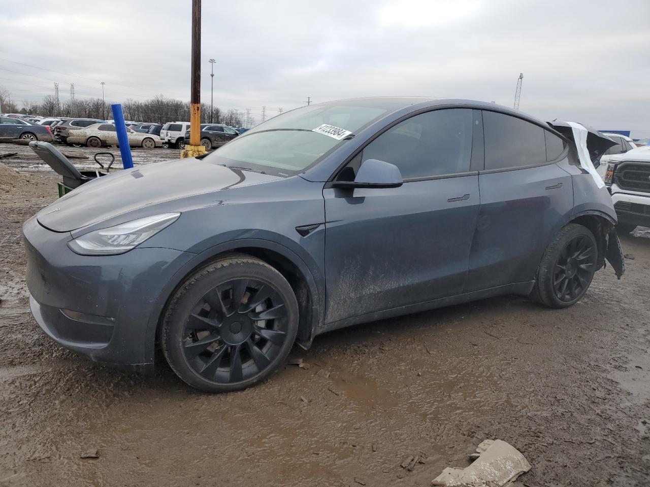 TESLA MODEL Y 2020 5yjygdef0lf002503