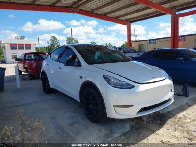 TESLA MODEL Y 2020 5yjygdef1lf002896