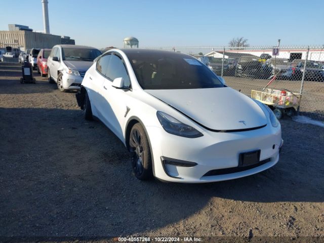 TESLA MODEL Y 2021 5yjygdef1mf209421