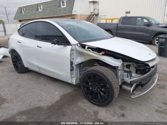 TESLA MODEL Y 2020 5yjygdef2lf004222