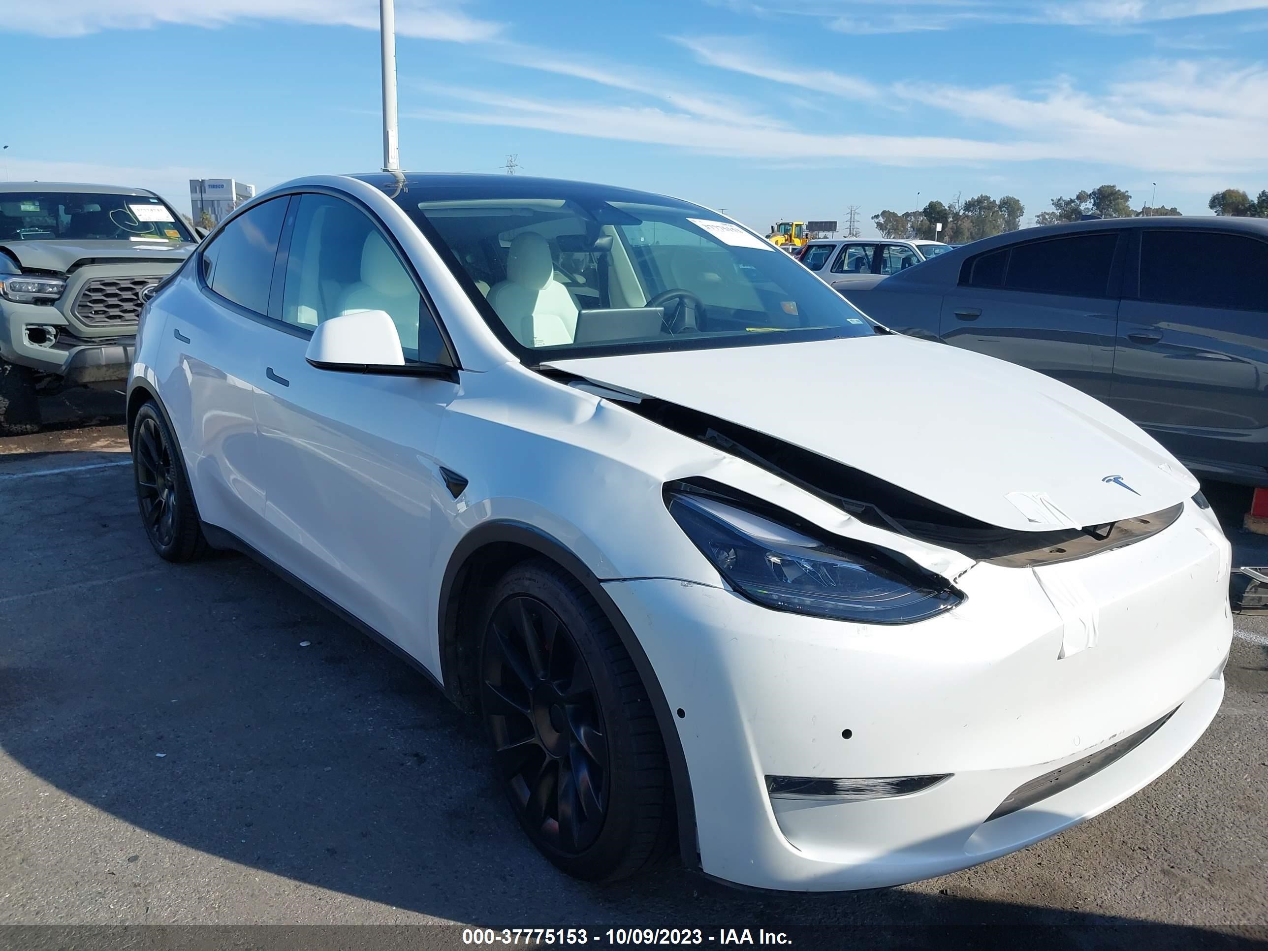 TESLA MODEL Y 2021 5yjygdef2mf266422