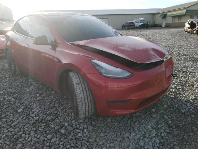 TESLA MODEL Y 2021 5yjygdef3mf089184