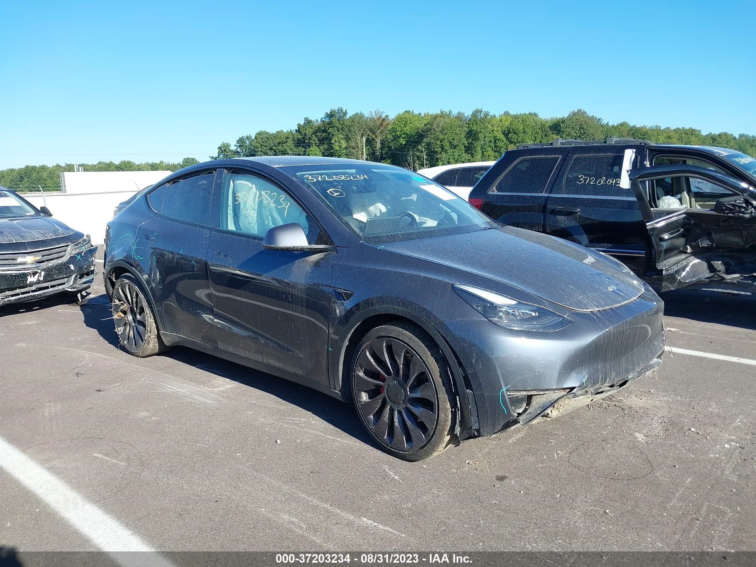 TESLA MODEL Y 2021 5yjygdef3mf251766