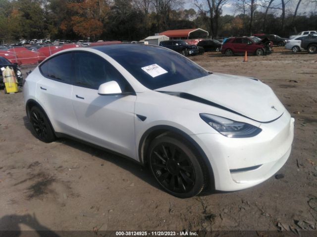 TESLA MODEL Y 2020 5yjygdef5lf002836