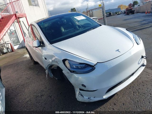 TESLA MODEL Y 2021 5yjygdef5mf258279